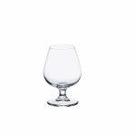 Cognac Glass